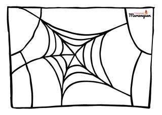 Kleurplaat Spin Sebastiaan